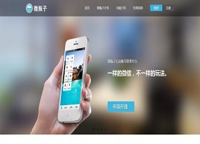 高端品牌网站建设